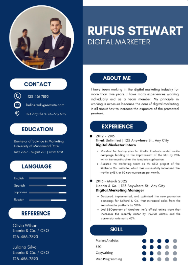 Professional CV Sample 16